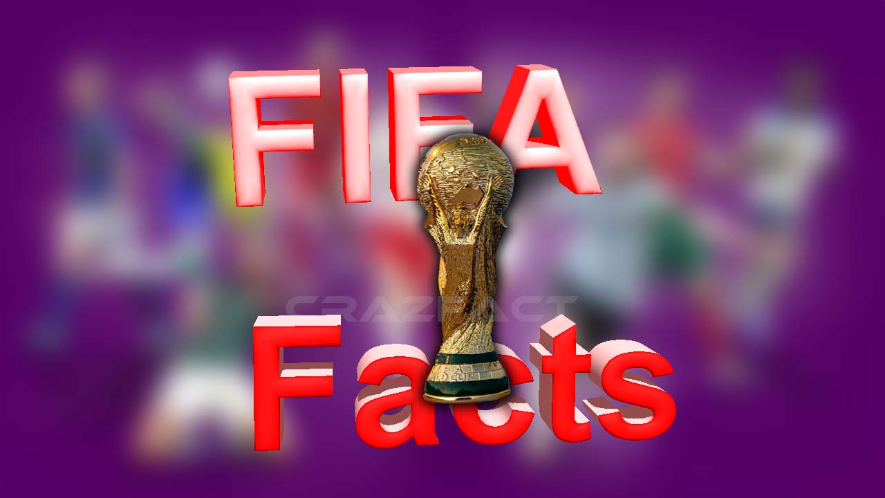 Read more about the article 100 Facts About  FIFA World Cup?