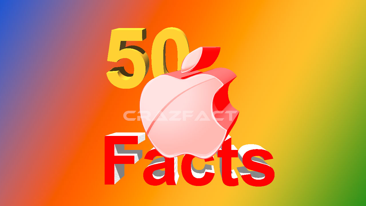 Read more about the article 50 facts about iPhone?