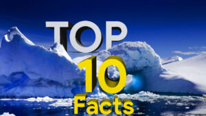 Read more about the article Top 10 Interesting Facts ?